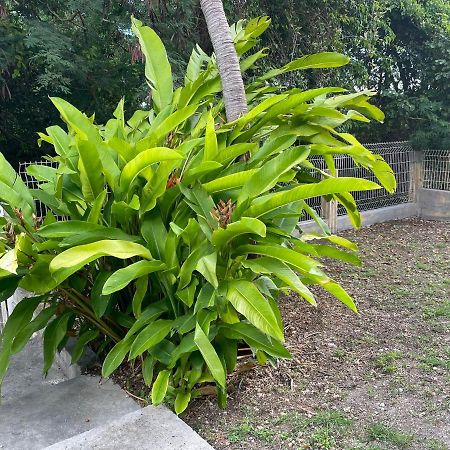 Appartamento Le Modrigue Sainte-Anne  Esterno foto